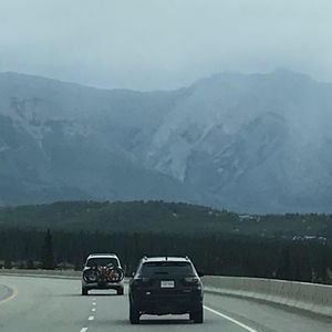 Meet your Posher, Robin